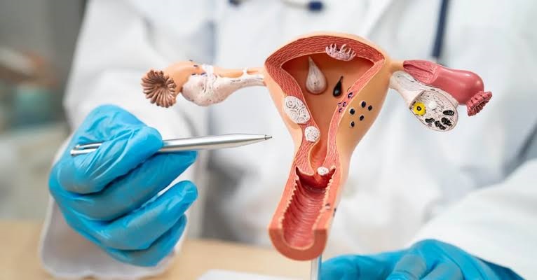 IVF Lab